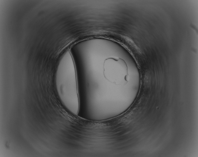 X0000093211209200709261419