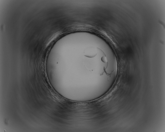 X0000093211211200709261419