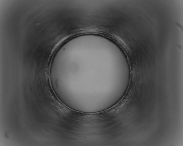 X0000093211212200709261419