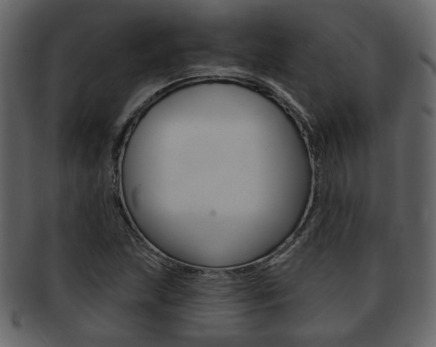 X0000093211215200709261419