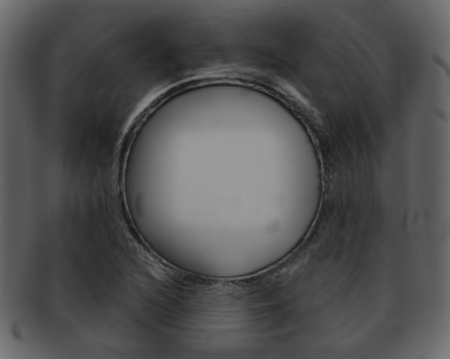 X0000093211216200709261419
