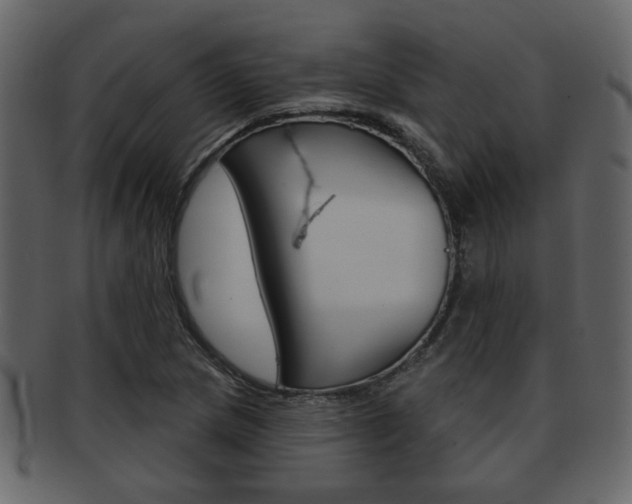 X0000093211217200709261419