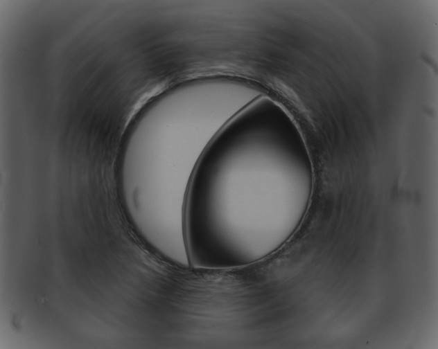 X0000093211218200709261419