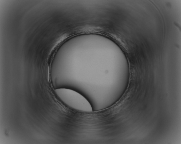 X0000093211219200709261419