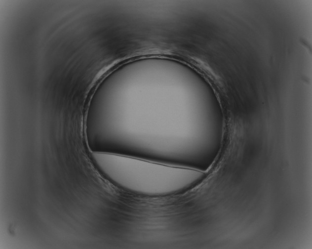 X0000093211220200709261419