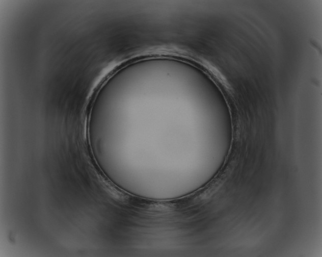 X0000093211224200709261419