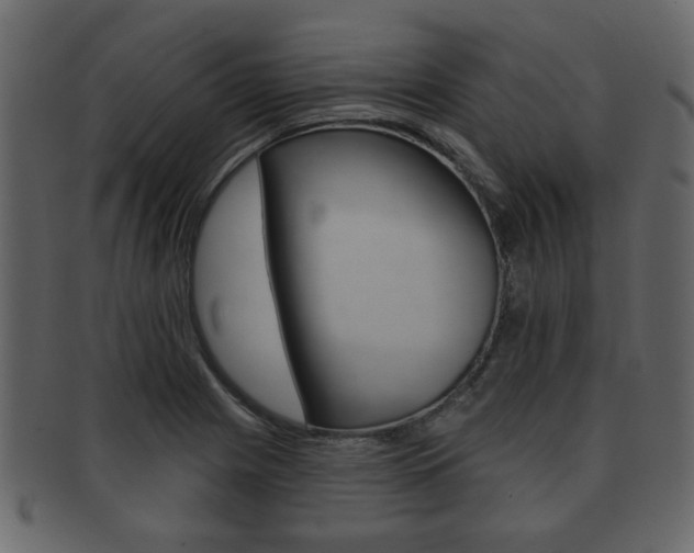 X0000093211225200709261419