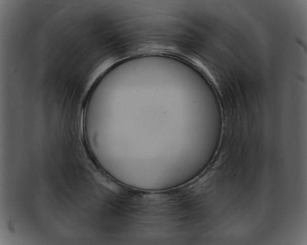 X0000093211227200709261419