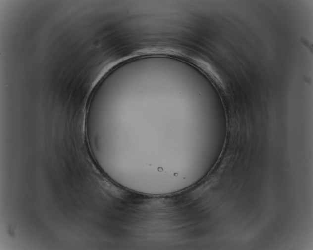 X0000093211228200709261419