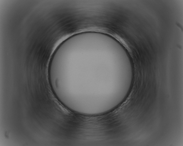 X0000093211230200709261419