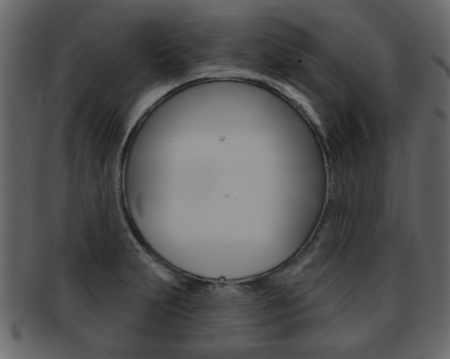 X0000093211231200709261419