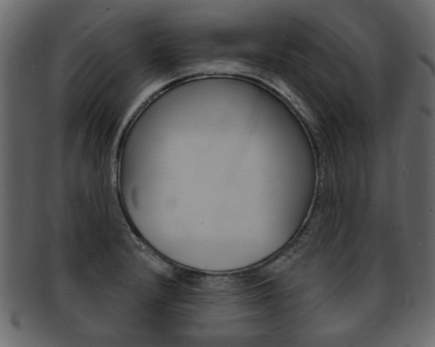 X0000093211232200709261419