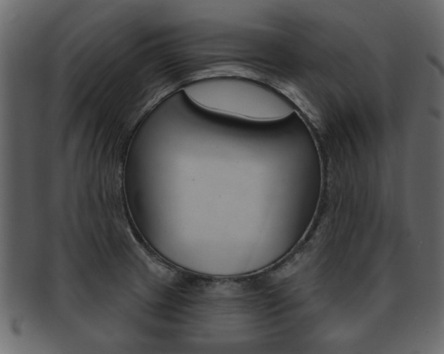 X0000093211233200709261419