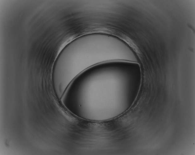 X0000093211234200709261419
