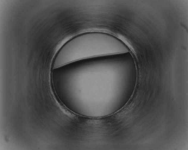 X0000093211237200709261419