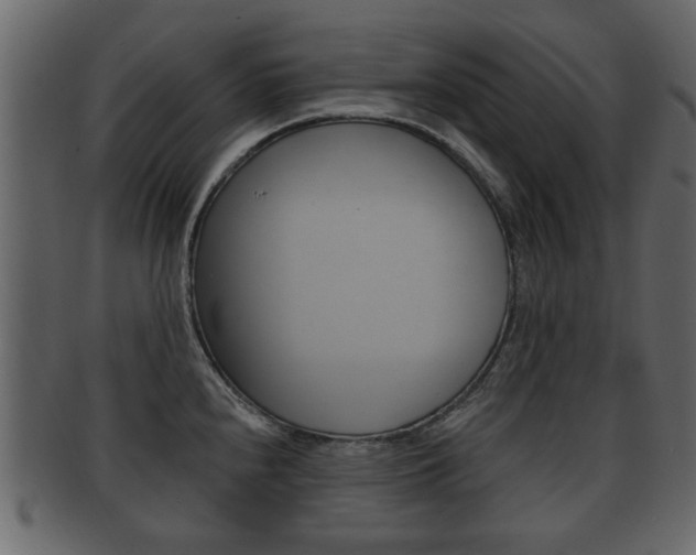 X0000093211240200709261419