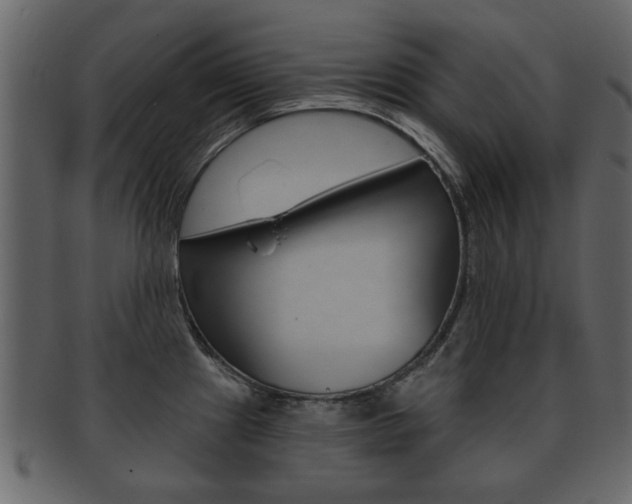 X0000093211241200709261419