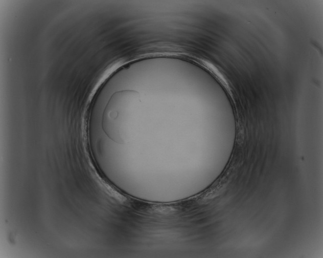 X0000093211243200709261419