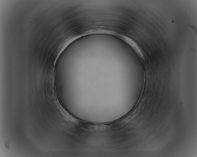 X0000093211244200709261419