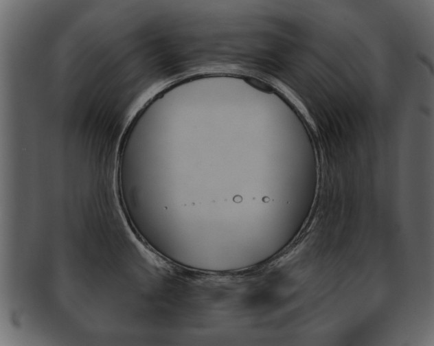 X0000093211245200709261419