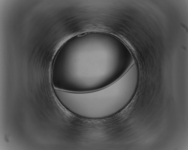 X0000093211246200709261419