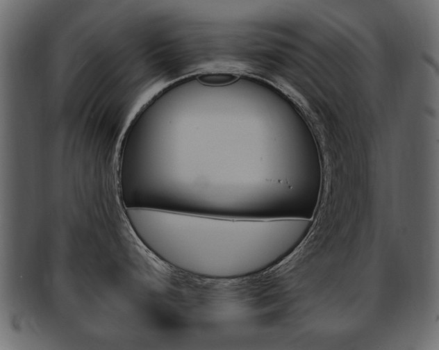 X0000093211248200709261419