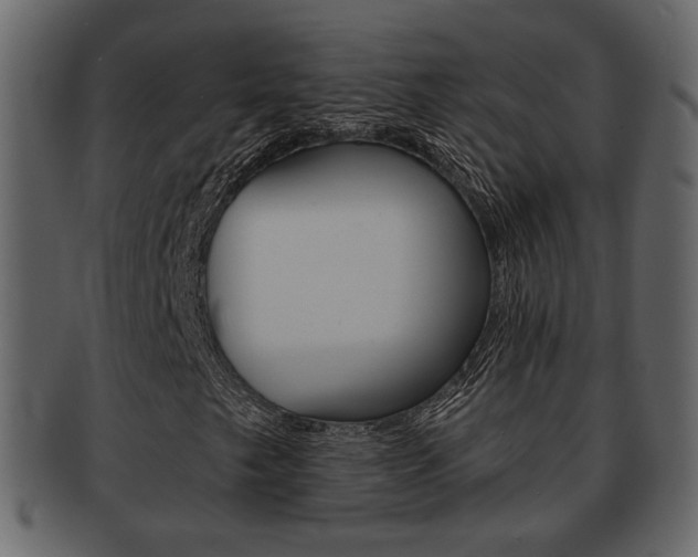 X0000093211249200709261419