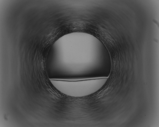 X0000093211250200709261419