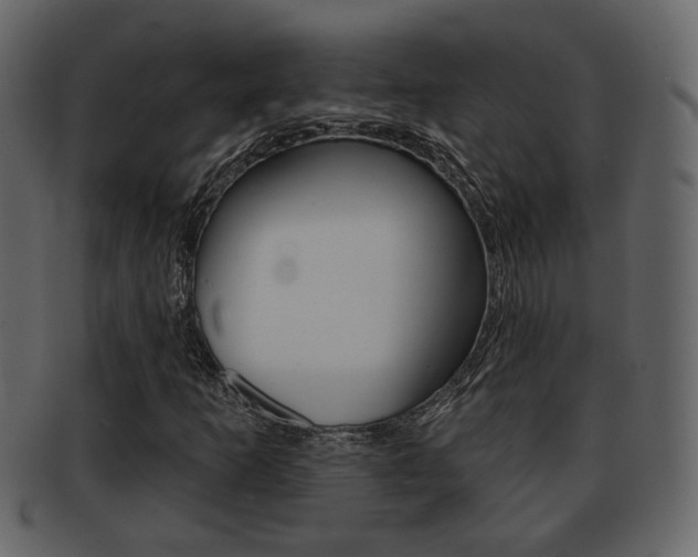 X0000093211253200709261419