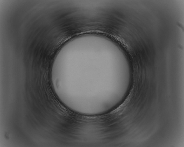 X0000093211257200709261419
