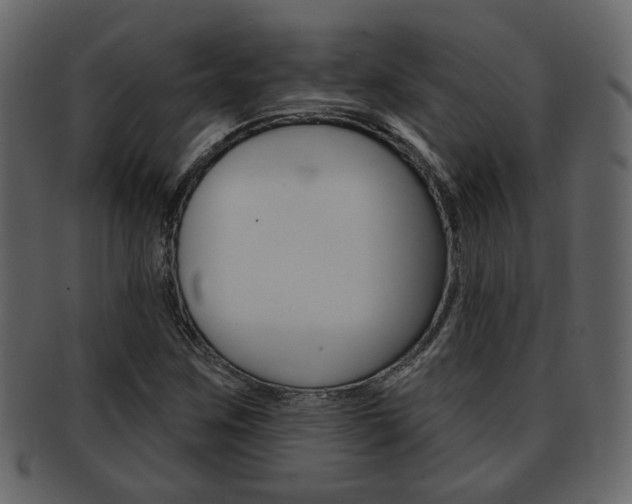 X0000093211259200709261419