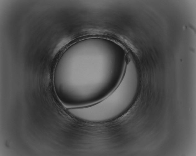 X0000093211261200709261418