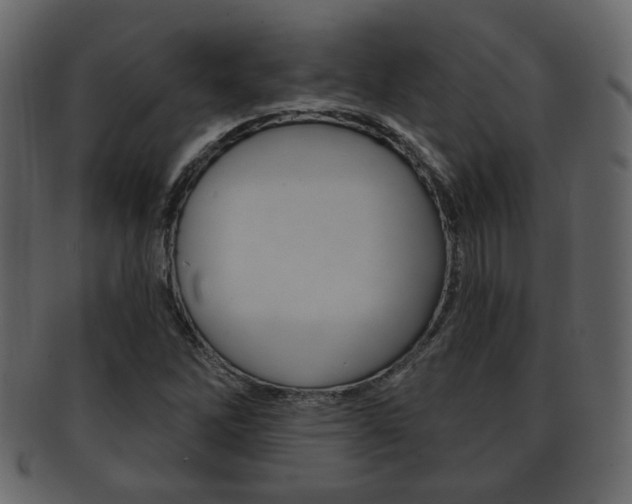 X0000093211262200709261418