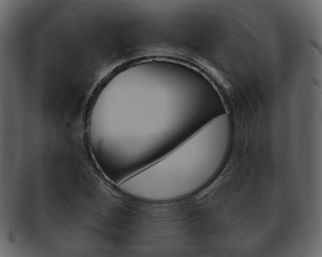 X0000093211264200709261418