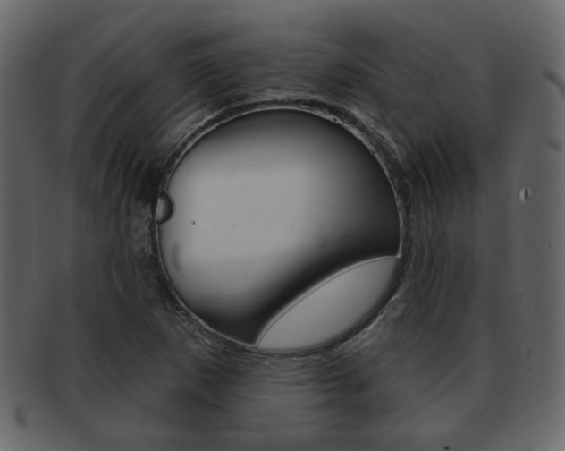 X0000093211265200709261418