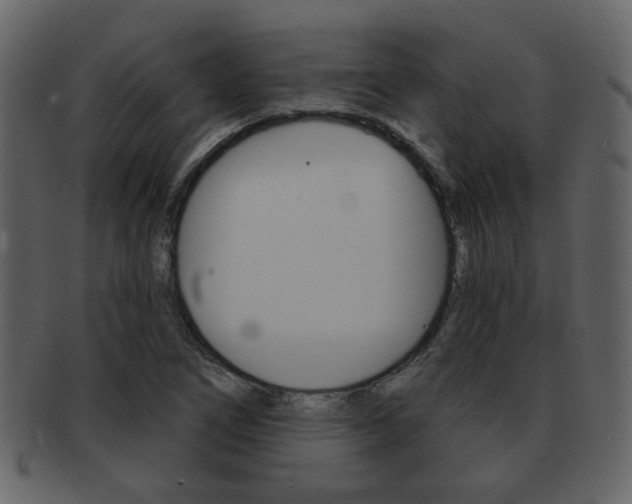 X0000093211266200709261418