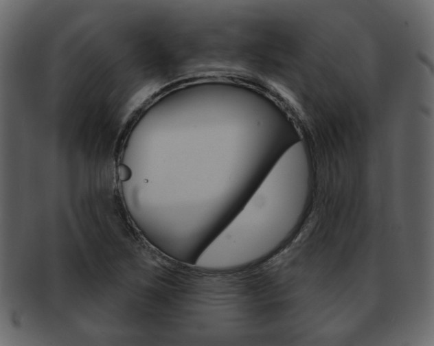 X0000093211267200709261418
