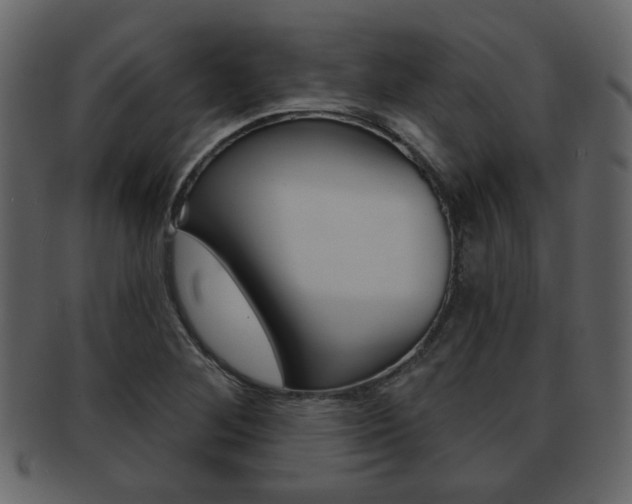 X0000093211268200709261418