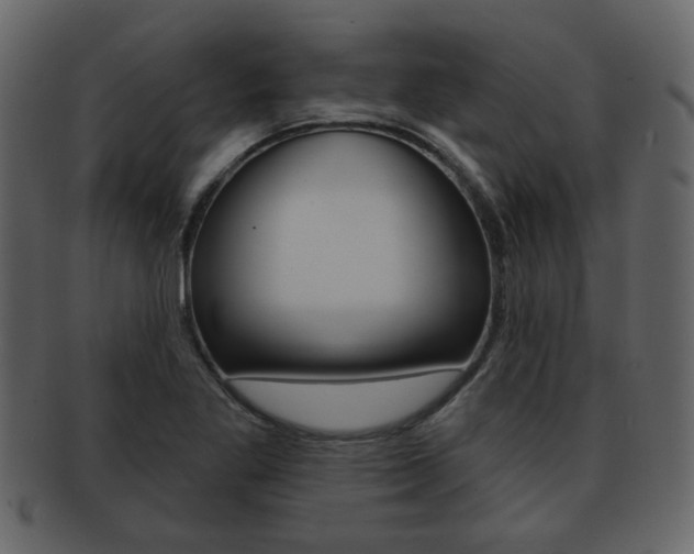 X0000093211269200709261418
