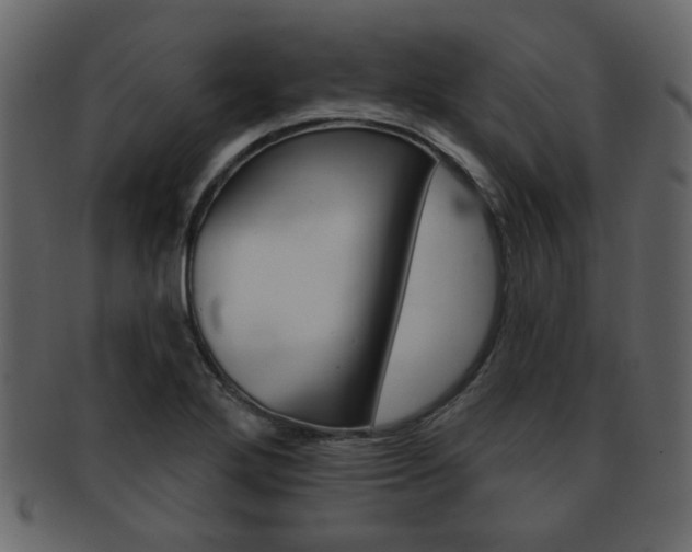 X0000093211272200709261418