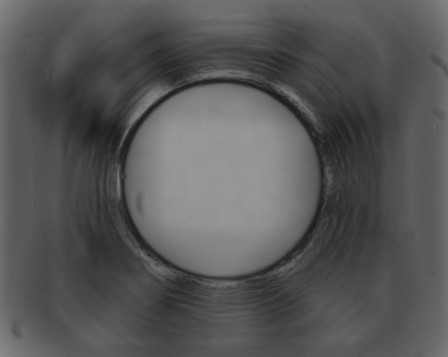 X0000093211274200709261418