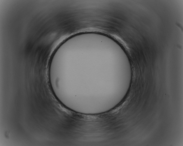 X0000093211278200709261418