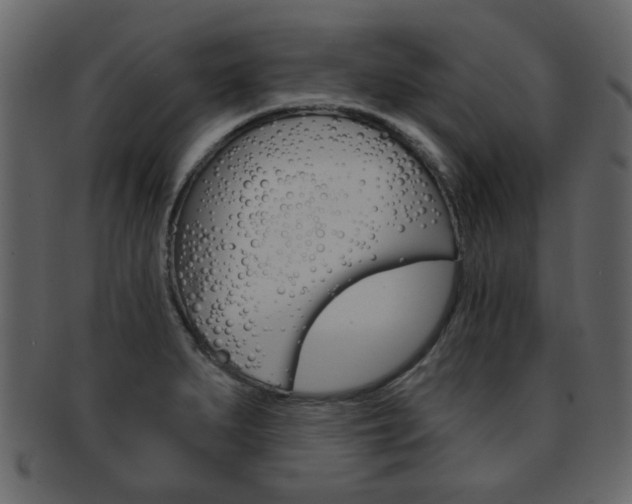 X0000093211279200709261418