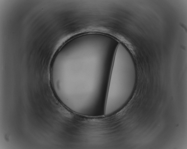 X0000093211280200709261418