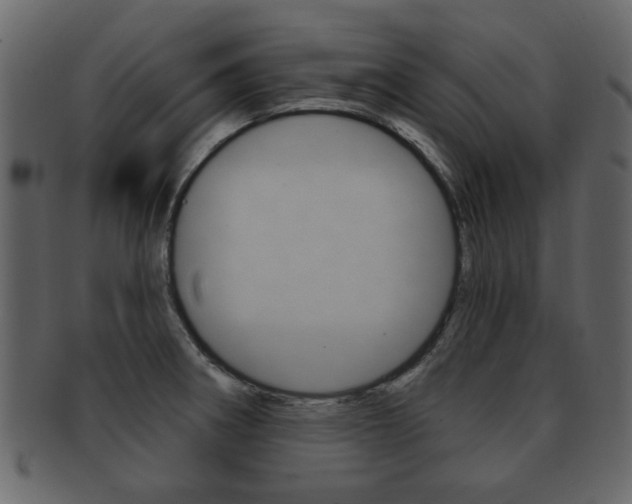 X0000093211282200709261418