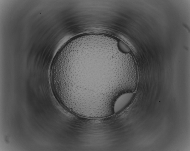 X0000093211283200709261418