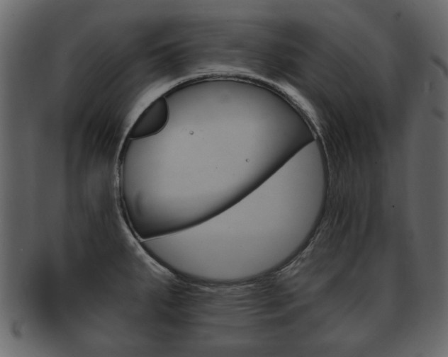 X0000093211287200709261418