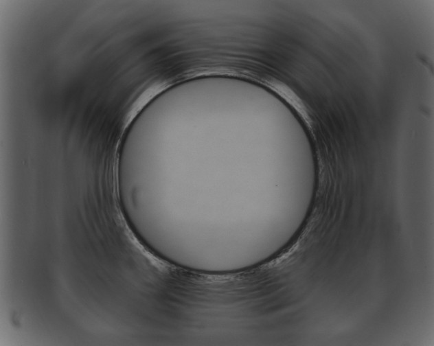 X0000093211290200709261418