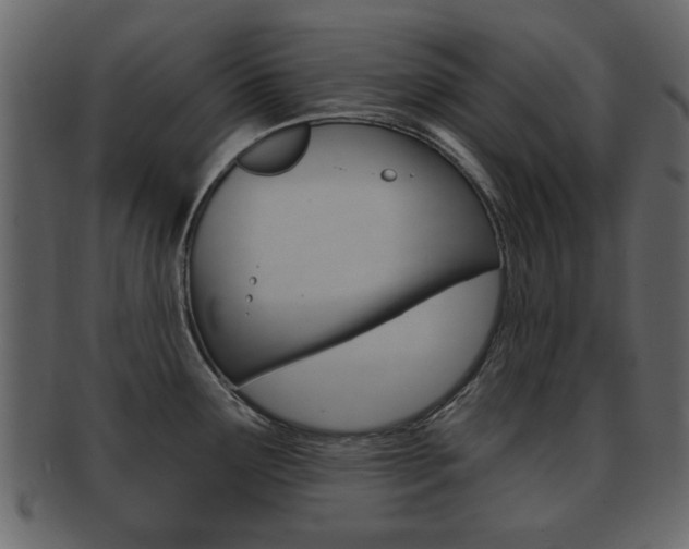 X0000093211291200709261418