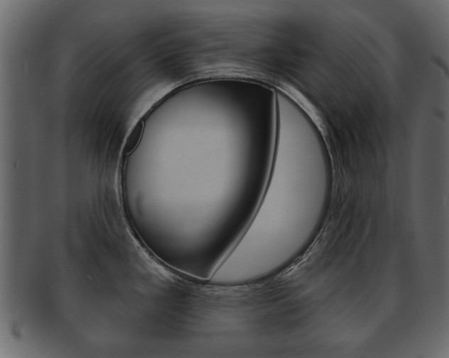 X0000093211293200709261418